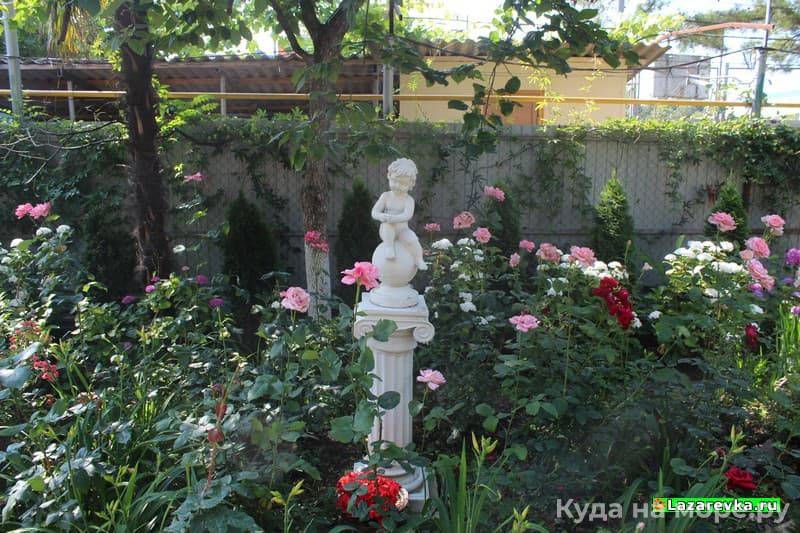 Фотогалерея